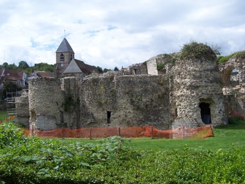 Élagage Beynes