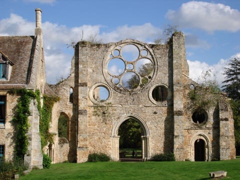 Élagage Cernay-la-Ville
