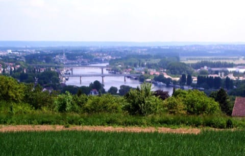 Élagage Chanteloup-les-Vignes