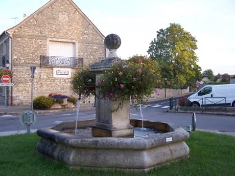 Élagage Chavenay