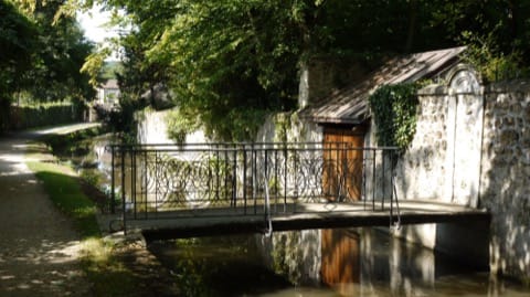 Élagage Chevreuse