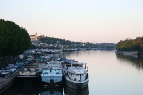 Élagage Conflans-Sainte-Honorine