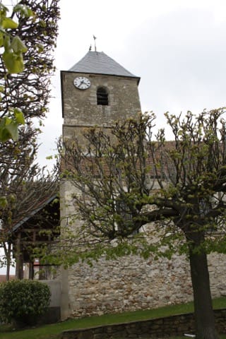 Élagage Drocourt
