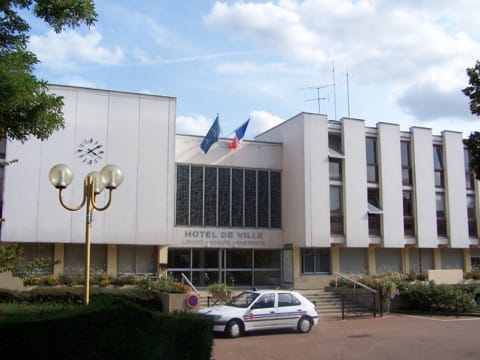 Élagage Fontenay-le-Fleury