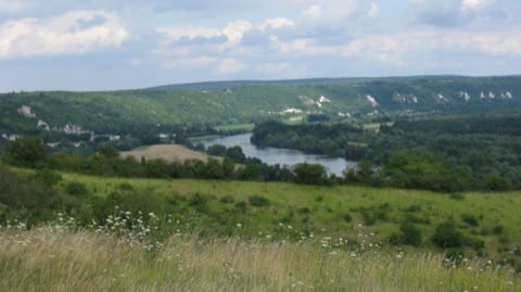 Élagage Gommecourt