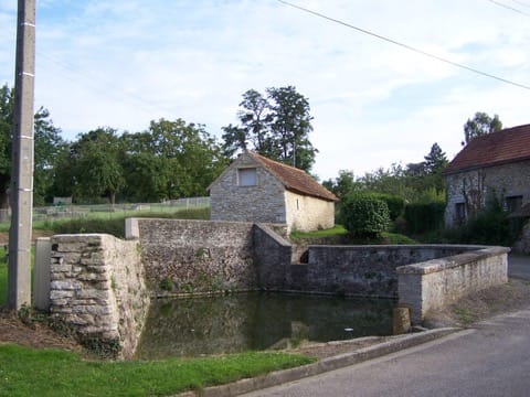 Élagage Goupillières