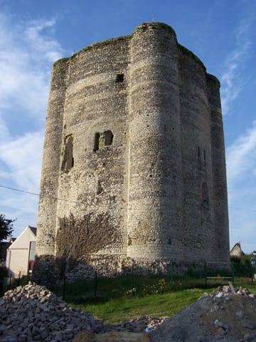 Élagage Houdan