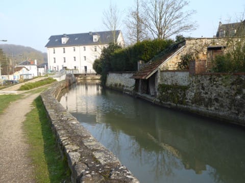 Élagage Jouy-en-Josas