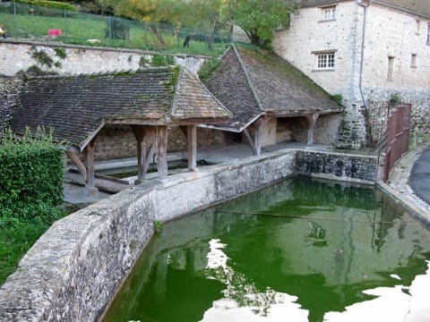 Élagage Jumeauville