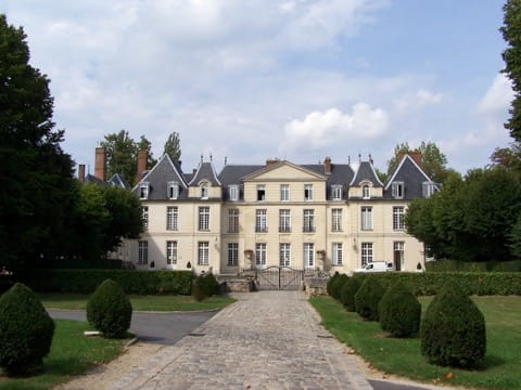 Élagage Le Mesnil-Saint-Denis