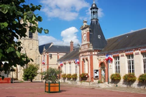 Élagage Le Perray-en-Yvelines