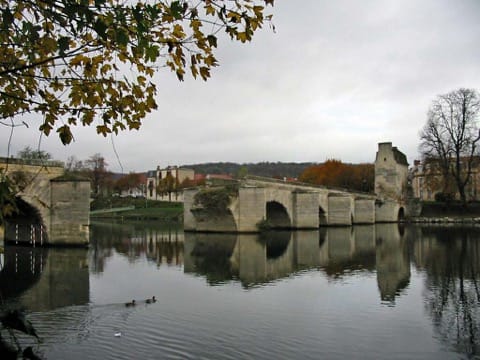 Élagage Limay