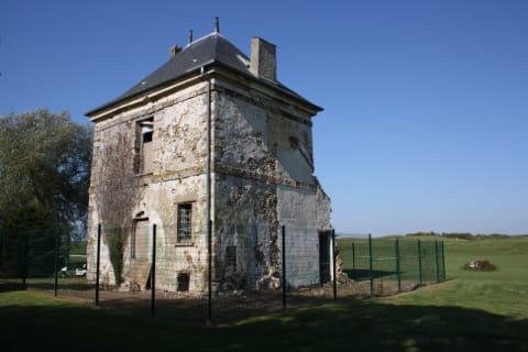 Élagage Magny-les-Hameaux