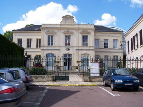 Élagage Maule