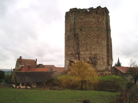 Élagage Maurepas