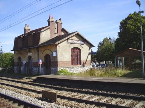 Élagage Ménerville