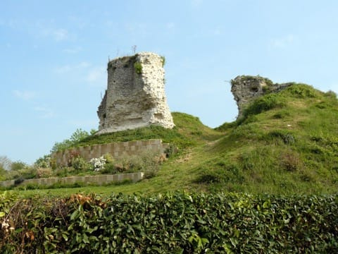 Élagage Montchauvet
