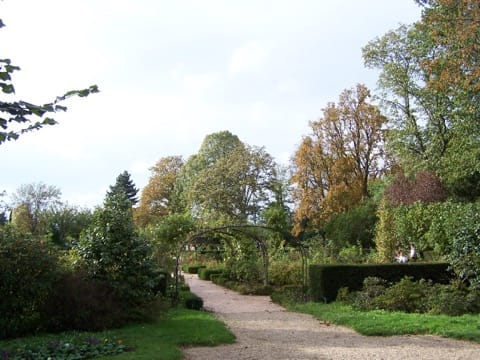 Élagage Noisy-le-Roi