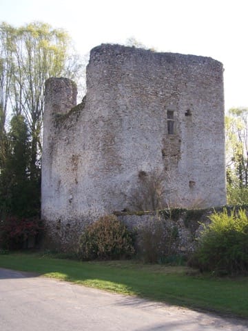 Élagage Prunay-en-Yvelines