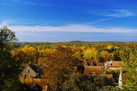 Élagage Rochefort-en-Yvelines