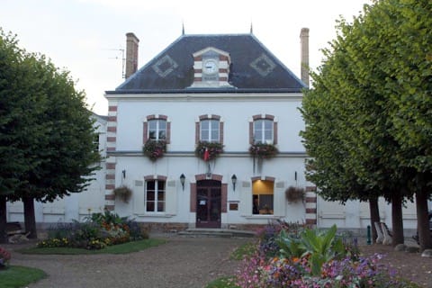 Élagage Saint-Arnoult-en-Yvelines