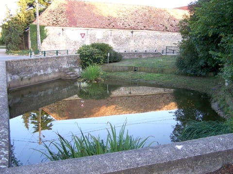 Élagage Saint-Germain-de-la-Grange
