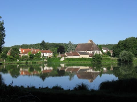 Élagage Saint-Hilarion