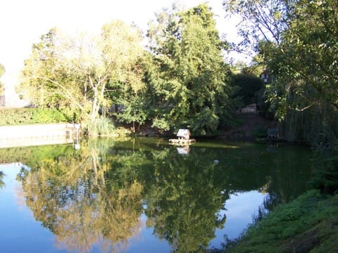 Élagage Saint-Nom-la-Bretèche