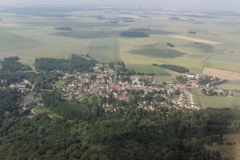 Élagage Sonchamp