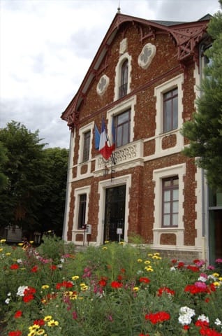 Élagage Viroflay